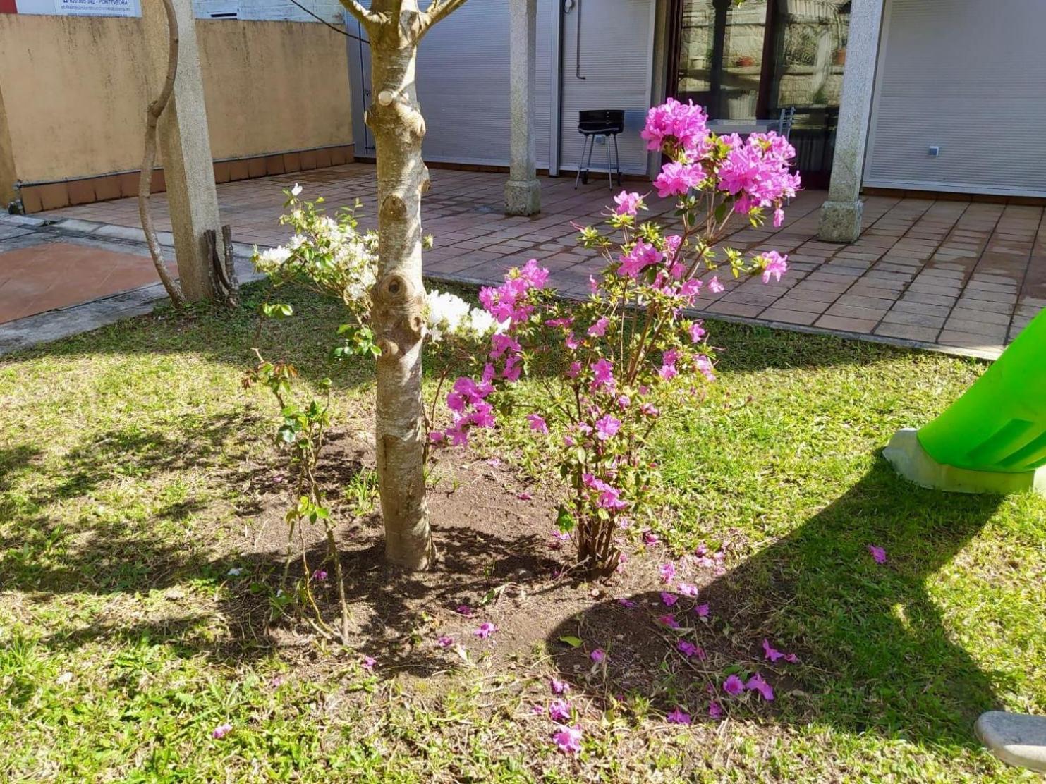 Apartamento Con Jardin Y Piscina Temporada Verano Privados Samieira エクステリア 写真