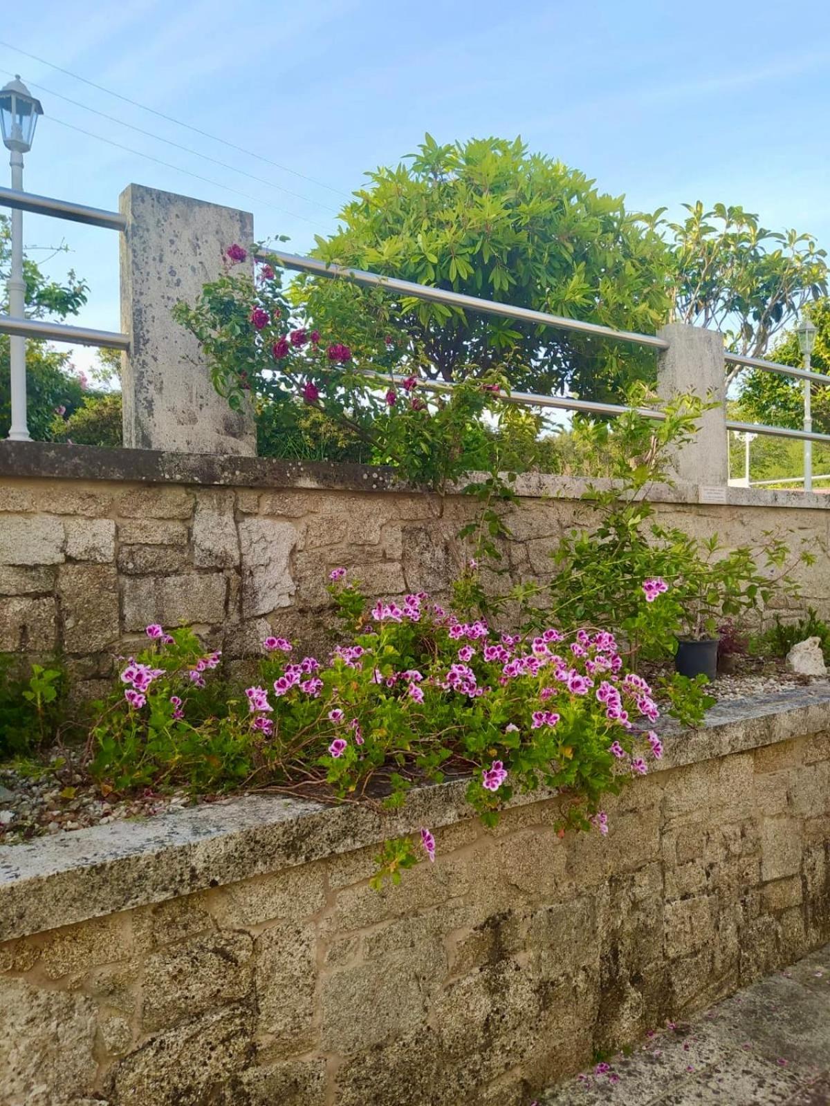 Apartamento Con Jardin Y Piscina Temporada Verano Privados Samieira エクステリア 写真